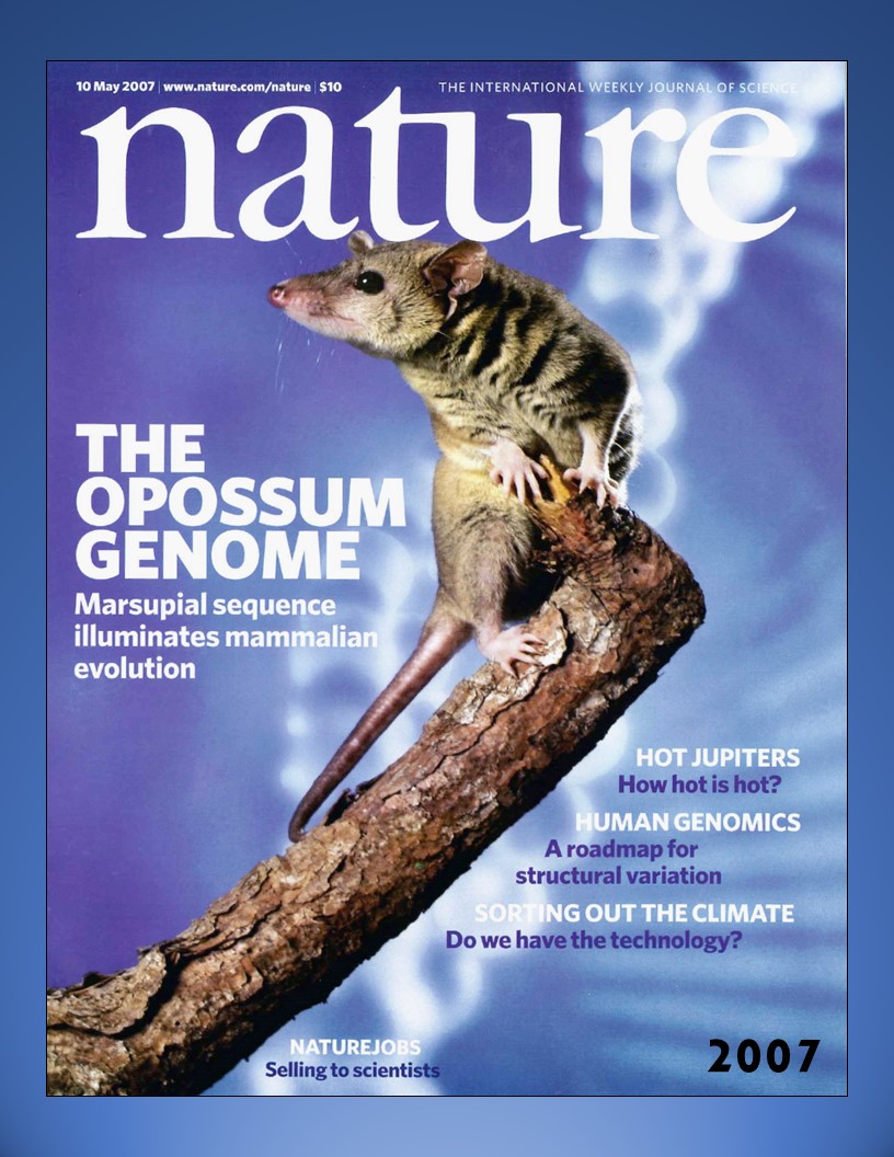 Nature 2007 Cover