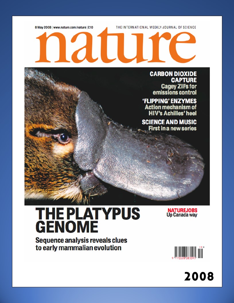 Nature 2008 Cover