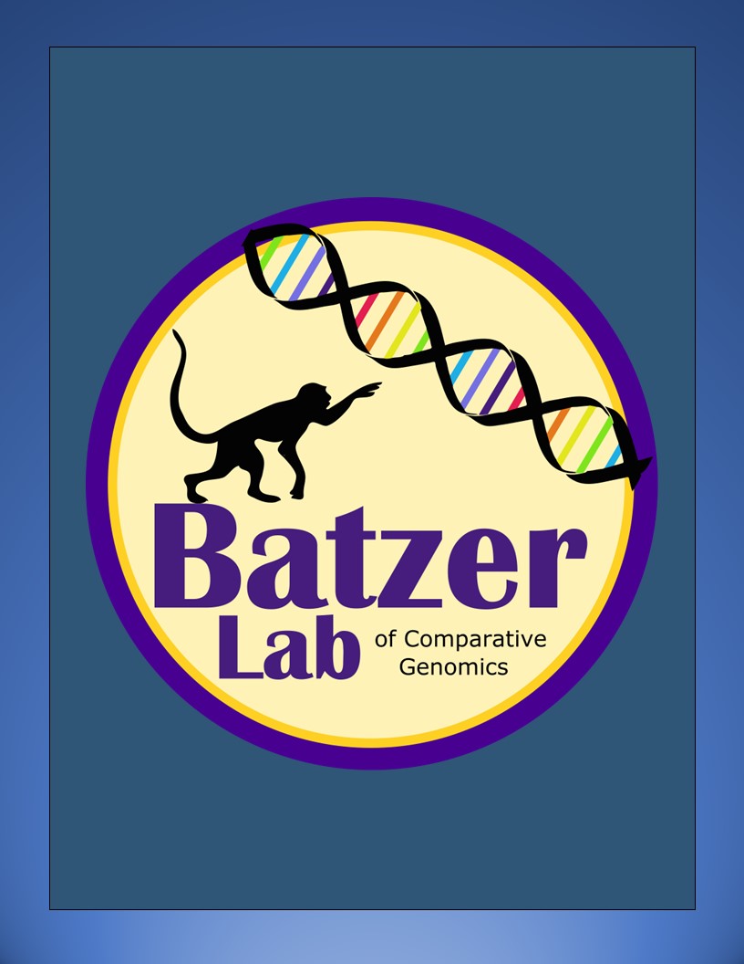 Batzer Lab Logo